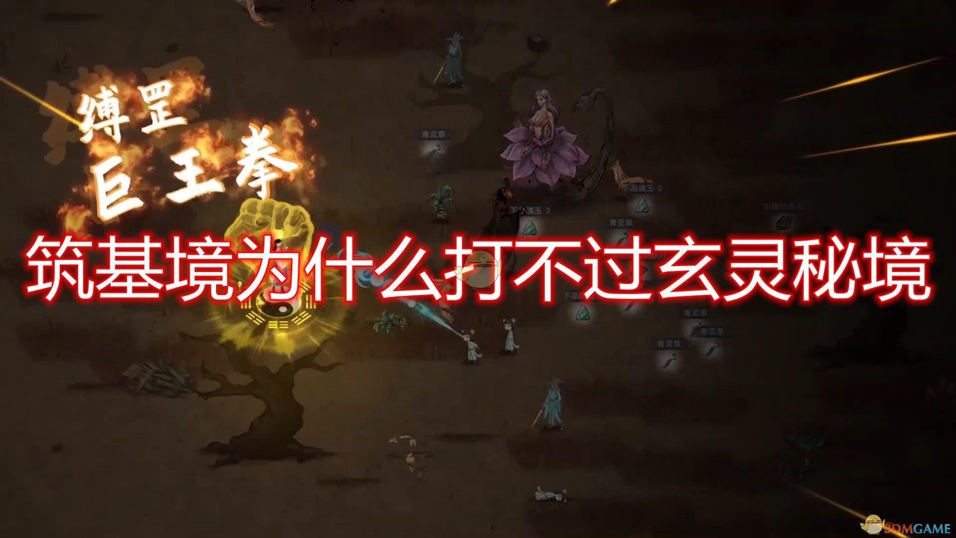 双鱼女怎么这么墨迹,你们都没有情商吗知识星球平台,深度解读,共享知识