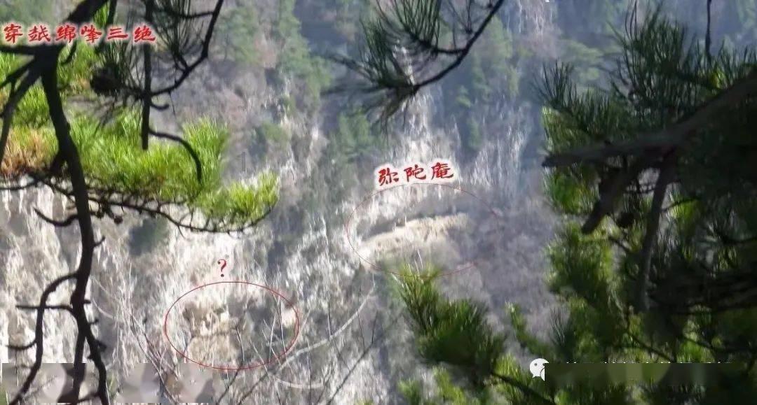 买服务送18份保障?“保单”与宣传不符 悟空租车割保险韭菜